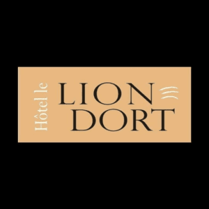 lion dort